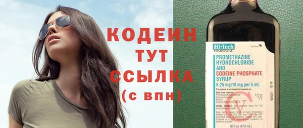ПСИЛОЦИБИНОВЫЕ ГРИБЫ Арсеньев