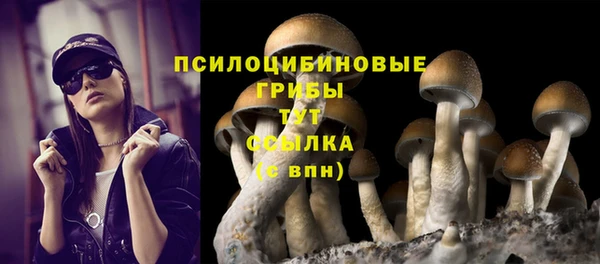 прущие крисы Балахна