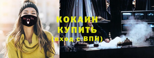 индика Слюдянка