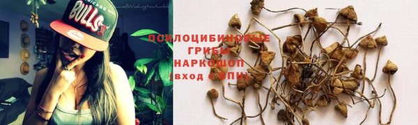 марки lsd Балабаново